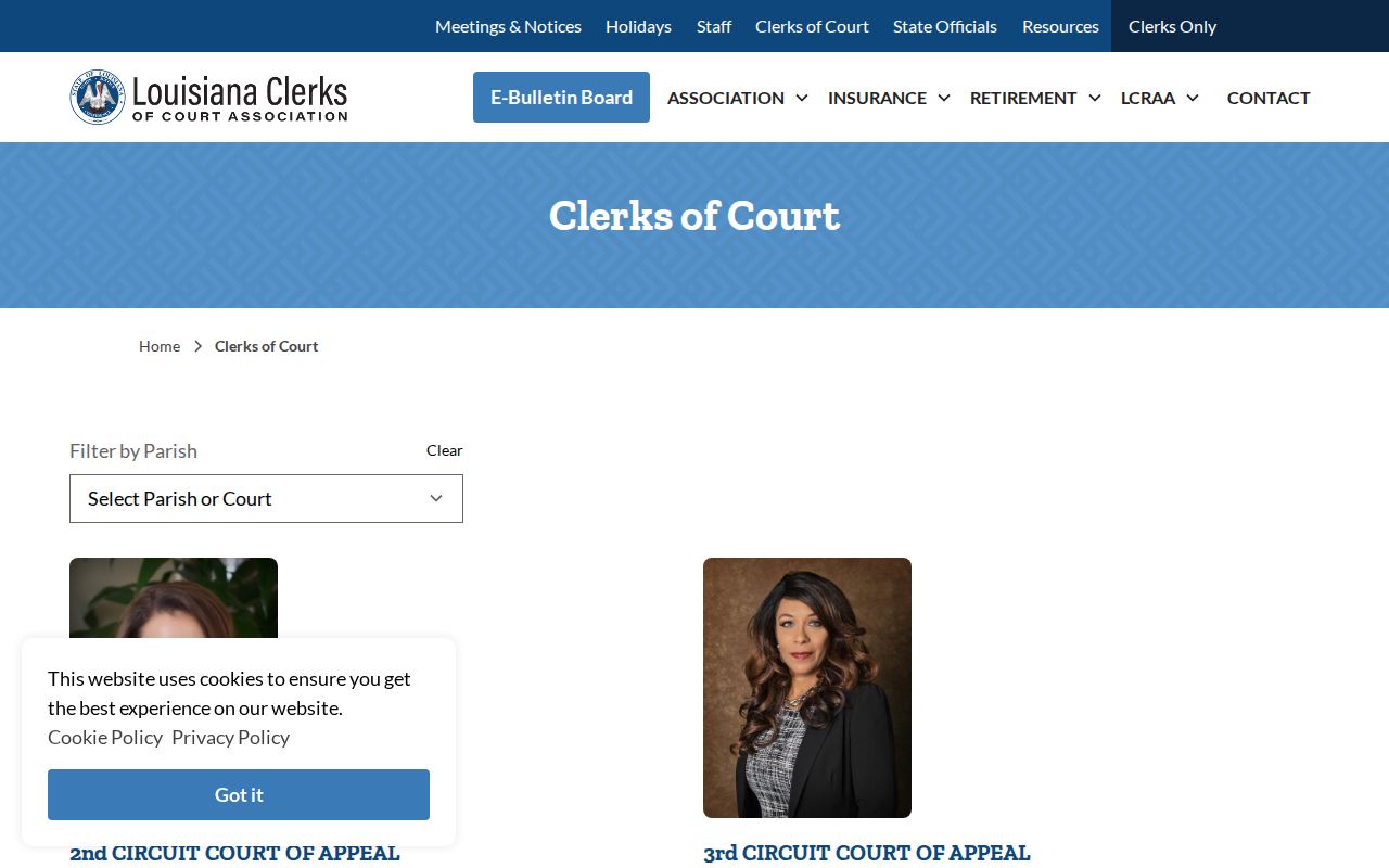 Bienville Parish case search source showing the Louisiana clerks directory