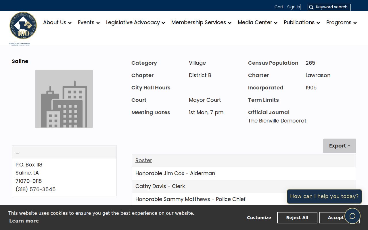 Official Saline village profile supporting the Saline Mayor's Court contact route
